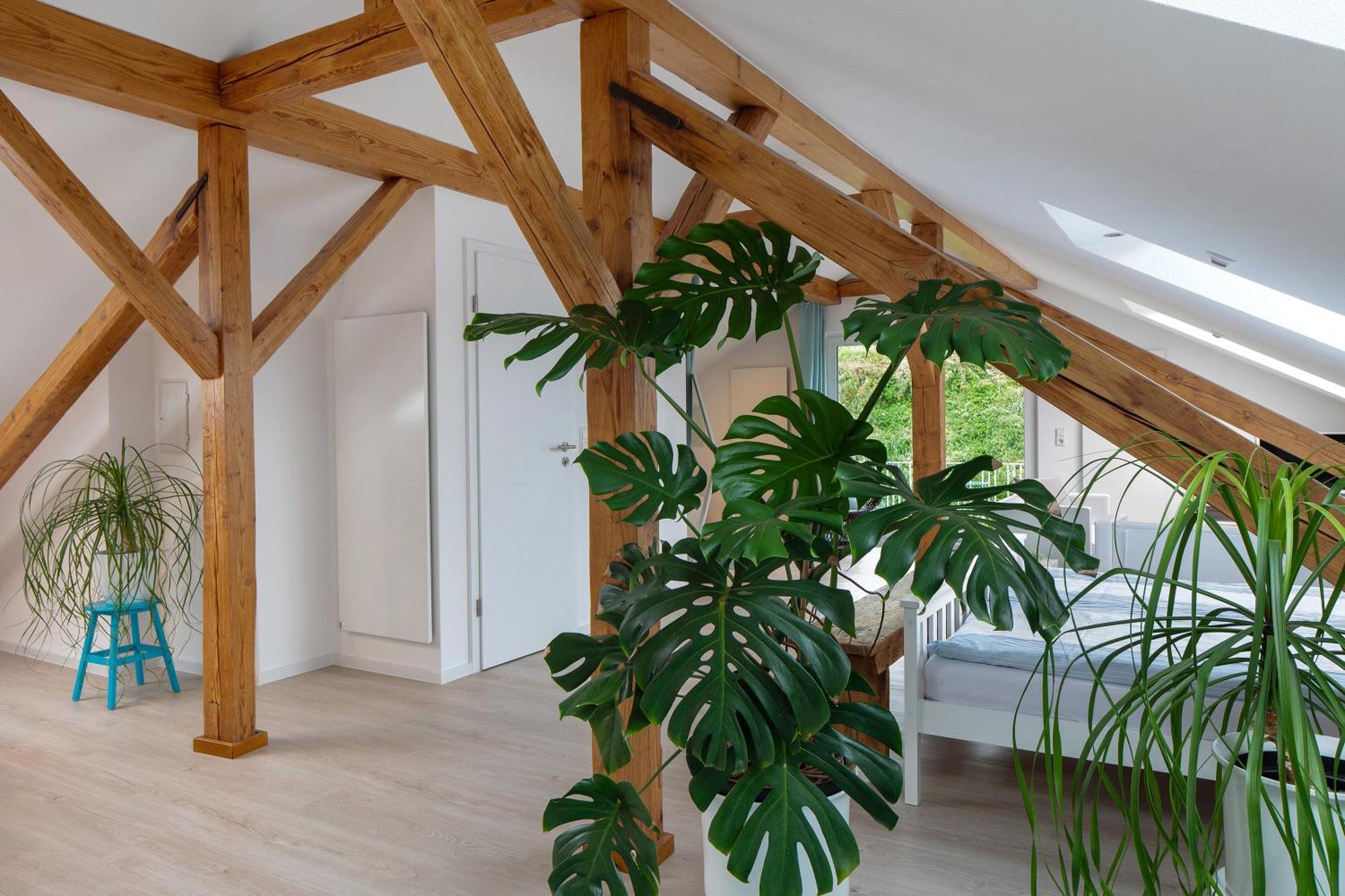 Ferienhaus Engelsberghof Endingen am Kaiserstuhl Εξωτερικό φωτογραφία