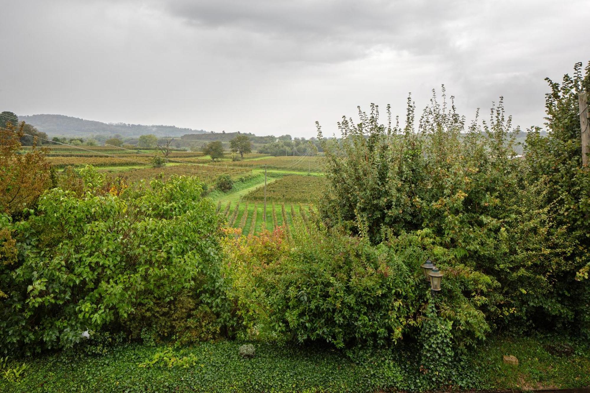 Ferienhaus Engelsberghof Endingen am Kaiserstuhl Εξωτερικό φωτογραφία